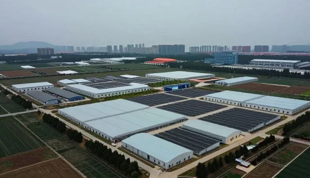 系统集成中需求反馈流程的常见问题与优化策略